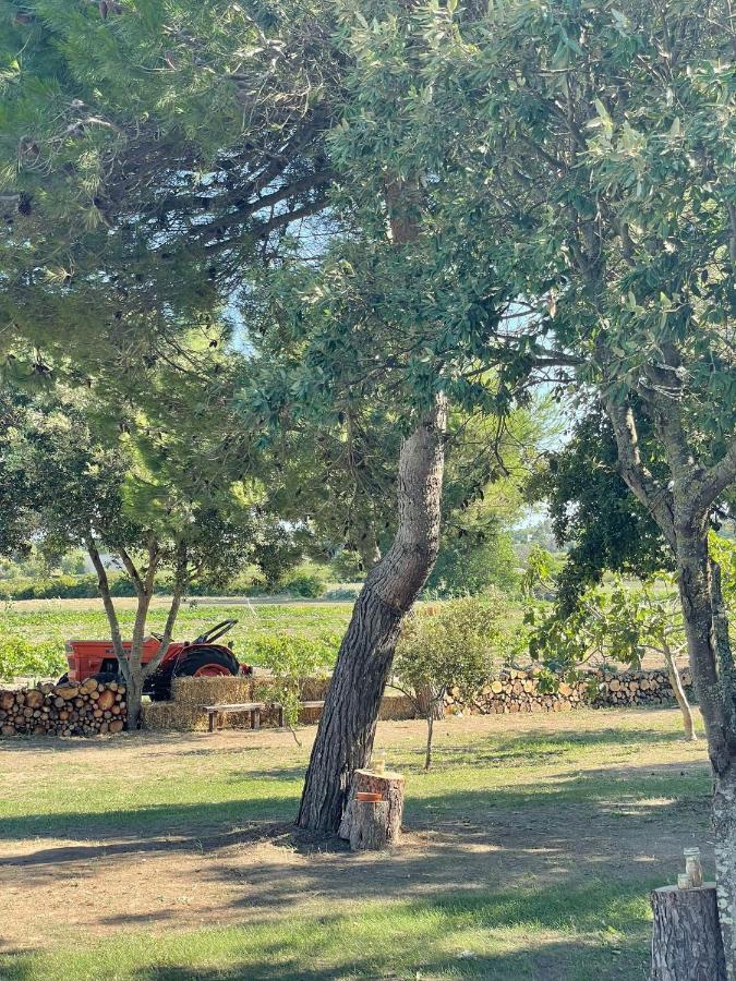 Agriturismo Tenuta Pozzello Torre dell'Orso Exterior foto